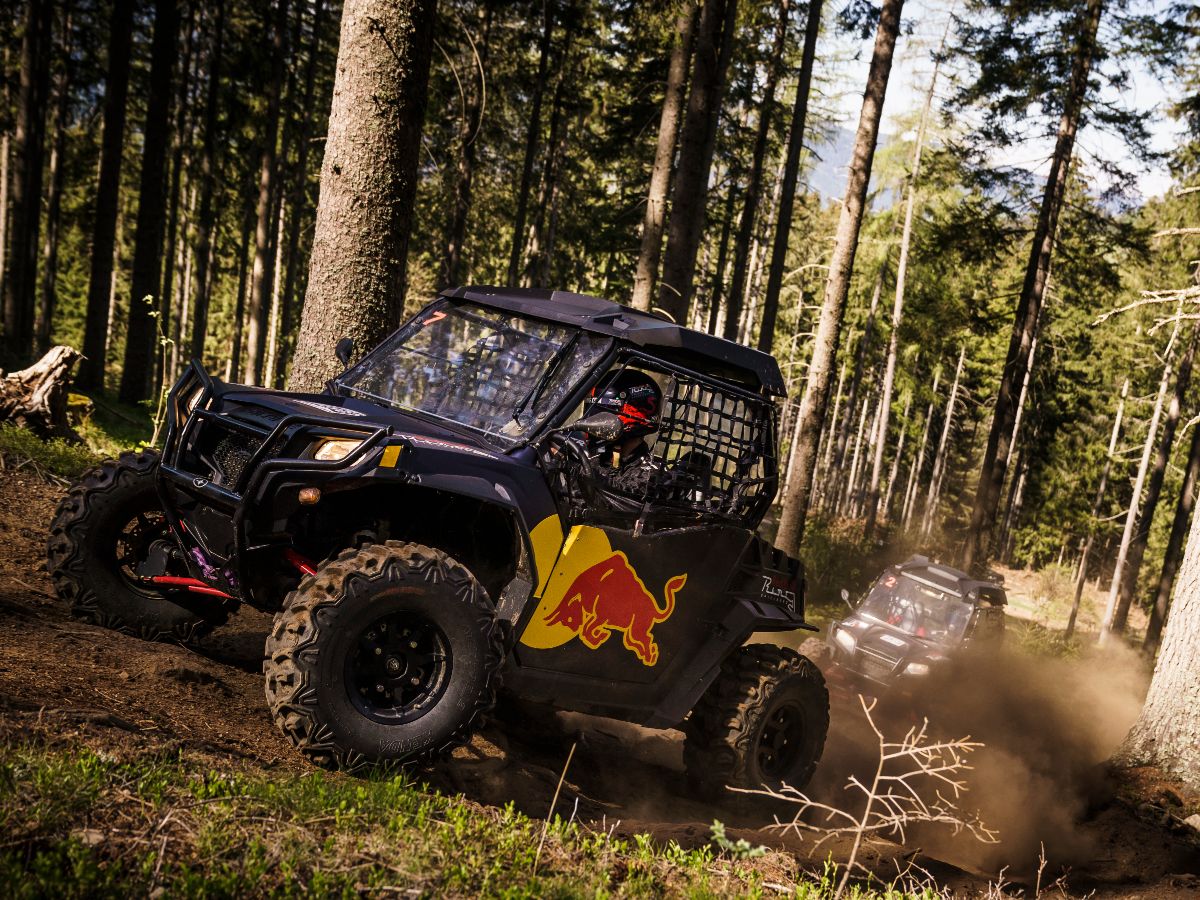 Buggy Experience