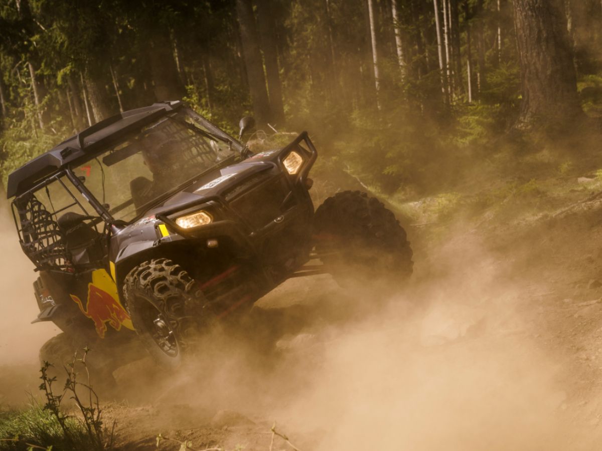 Buggy Experience