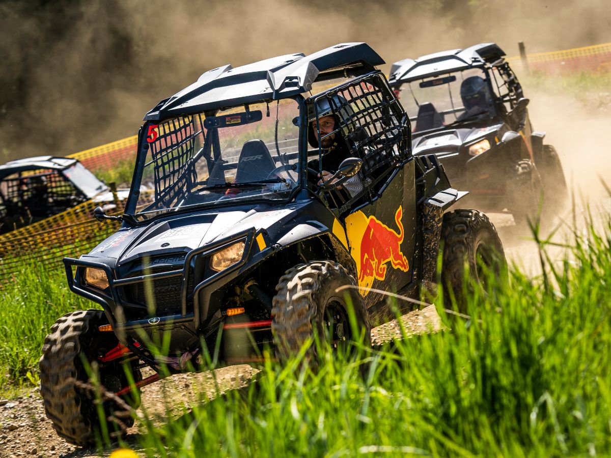 Buggy Experience